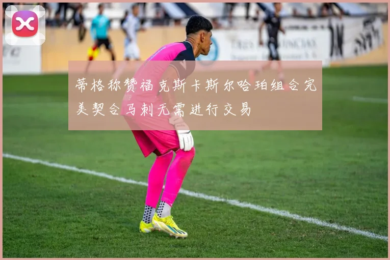 蒂格称赞福克斯卡斯尔哈珀组合完美契合马刺无需进行交易