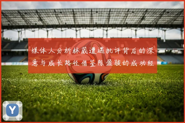 媒体人分析林葳遭遇批评背后的深意与成长路径借鉴陈盈骏的成功经验
