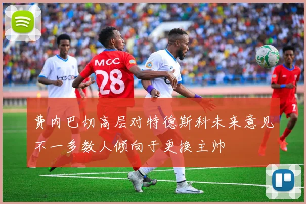 费内巴切高层对特德斯科未来意见不一多数人倾向于更换主帅